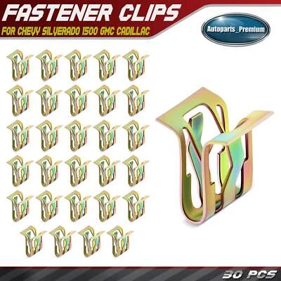 30 piezas clips de retención de rejilla de radiador de ajuste de pilar de acero de 5 mm para Chevy GMC Buick Foto 1 de 4