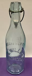 Botella de cerveza usada Claus Willms Jersey City NJ Blob Lt tapón de porcelana verde U - Imagen 1 de 9