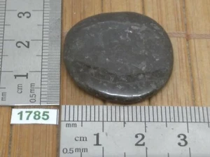 NUMITE pierre plate - Rare - shamane lithotherapie reiki esoterisme galet - Picture 1 of 2