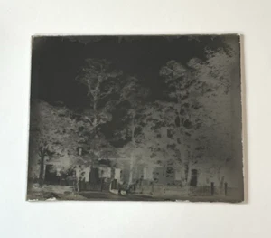 Antique Glass Plate Negative Outdoor Scene Farm House Calf or Donkey Trees - Picture 1 of 5