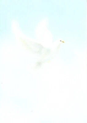 White Dove Peace Thank You For Expression of Sympathy Cards - Set of 20 - Image 1 of 3