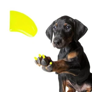 GIALLO FLUORESCENTE ~ 60 PEZZI Tappi per unghie morbide per artigli CANE ~ BELLISSIMI ARTIGLI ~ Zampe - Foto 1 di 1