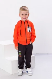 Infant Boys’ Set – Zip-Up Hoodie & Elastic Waist Pants, Any season,  Nosi svo... - Picture 1 of 15