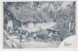 VICTORIA: Mount Dandenong,Mountain Coach postcard, used 1910 Mt Danndenong - Picture 1 of 2