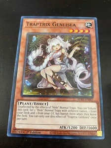 Traptrix Genlisea  - Afbeelding 1 van 1
