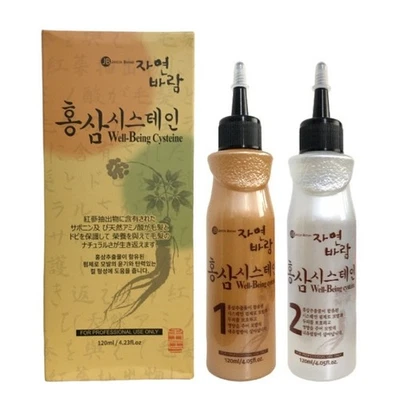 JAYEON BARAM Ginseng Cisteína Bienestar Onda Perm Cosméticos Coreanos NUEVO Foto 1 de 4
