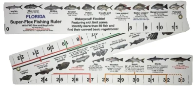 Super-Flex Fish ID & Regulations Ruler - Florida - Image 1 of 4
