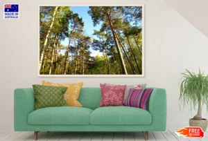 (Laminated) Tall Tree Forest Photograph 91x61cm - Picture 1 of 6