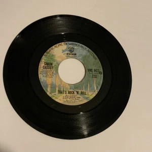 SHAUN CASSIDY 7" 45 RPM "That's Rock 'N' Roll" & "I Wanna Be With You" - Foto 1 di 13