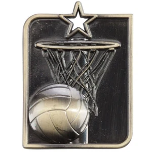 Netball Centurion 3D Sports Medal 53x40mm FREE ENGRAVING RIBBON & UK P&P MM15013 - Picture 1 of 5