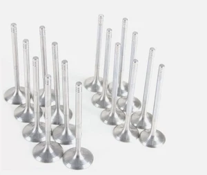 16PC Engine Inlet Outlet Valves Set BMW Cooper S B46 B48 2.0T F30 F32 F55 F56 - Picture 1 of 2