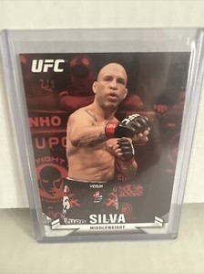 Wanderlei Silva 2013 knockout Ruby 7/8 UFC -190 