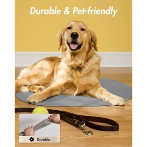 Absorbent Dog Mat for Food & Water Bowls, Quick Dry, No Stains, Pet Accessory - Picture 1 of 5