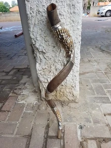 Shofar cuerno kudu yemenita 38""+ con placas kosher de león de plata esterlina - Imagen 1 de 10