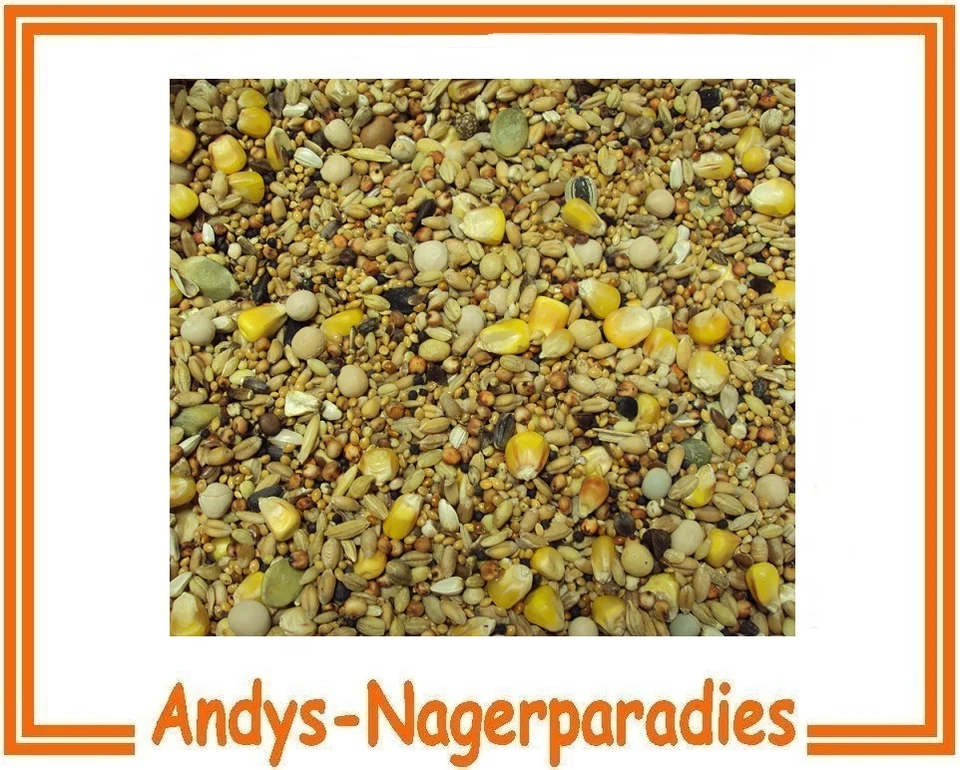 10kg  Universal Taubentauben , Tauben Vogelfutter Hühnerfutter - Bild 1 von 1