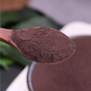 Wild Natural Zi Cao Radix Polvere Lithospermi Erbe Chiaro Caldo e Sangue Freddo - Foto 1 di 5