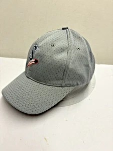 Spokane Indians Hat Cap Men’s Gray Port Authority Baseball Strapback Used - Picture 1 of 7