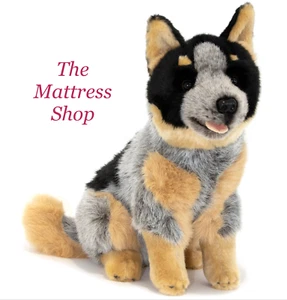 ~❤️~BOCCHETTA MARSHALL Australian Cattle Dog 35cm 14" Blue Heeler soft toy~❤️ - Picture 1 of 4