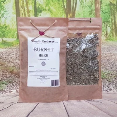 Burnet Herb Tea | Sanguisorba officinalis | Health Embassy | Wild Collected Tea