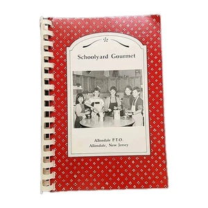 Schoolyard Gourmet Cookbook Allendale New Jersey Favorite Recipes 1991 Spiral - Foto 1 di 17