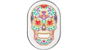 Motorcycle FIGURATI DESIGNS Antenna Covers FD30-AC-SS-RT - Picture 1 of 1