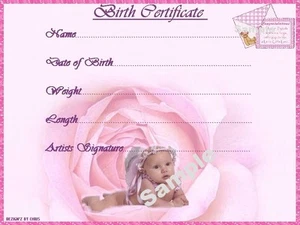 PRETTY PINK BIRTH CERTIFICATE/CERTIFICATES 4 REBORN FAKE BABY approx 7"x 5" - Picture 1 of 1