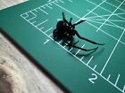 Florida Black Widow Spider Wet Specimen Oddities Taxidermy Mummified #2