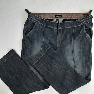 Lane Bryant Women's Jeans Sz 28 Ins 32 Bootcut Adjustable Sides Stretch 2 Button - Picture 1 of 12