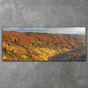 Leinwandbild Wandbild Canvas XXL Herbstliche Weinberg Landschaft 125x50 - Bild 1 von 11