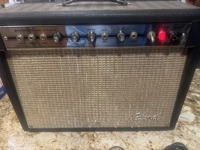 1960-е Westwood модель # N 6422 TR National гитарный усилитель с 2 педалями - Изображение 1 из 4