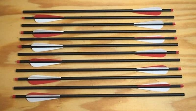 Parafusos de carbono besta 20" superpesados Hobo arco e flecha branco/vermelho Qtd. 3 - 12 ponderados - Imagem 1 de 4