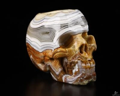 Calavera de cristal tallada de ágata de encaje loco rojo de 1,1", realista, cristal curativo Foto 1 de 4