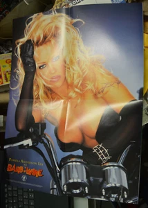 PÓSTER PROMOCIONAL RARO DE COLECCIÓN PAMELA ANDERSON LEE 1996 16,5 X 21,5 PULGADAS CASI NUEVO - Imagen 1 de 3
