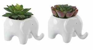 Flora Bunda Artificial Plant Succulent in 5" White Elephant Animal Novelty Pot - Picture 1 of 7
