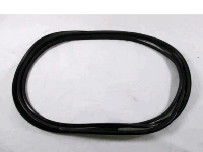 3348ASMH GUARNIZIONE PARABREZZA FIAT BRAVO BRAVA MAREA 1.6  B RICAMBIO NUOVO Foto 1 de 3