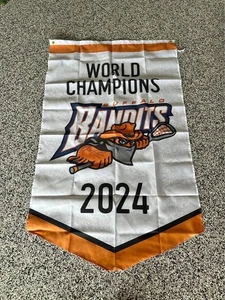 Buffalo Bandits Champions 2024 Replica Banner Bandits Lacrosse 3' by 5' Flag - Picture 1 of 1