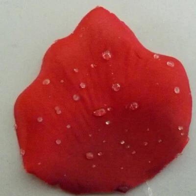 Pétalos De Rosa Con/Sin Rocío Pétalo Boda Bautizo Esparcidor Rojo O Blanco - Imagen 1 de 4