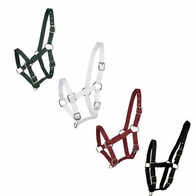 Fohlenhalfter First Step -verschiedene Farben- - Bild 1 von 4