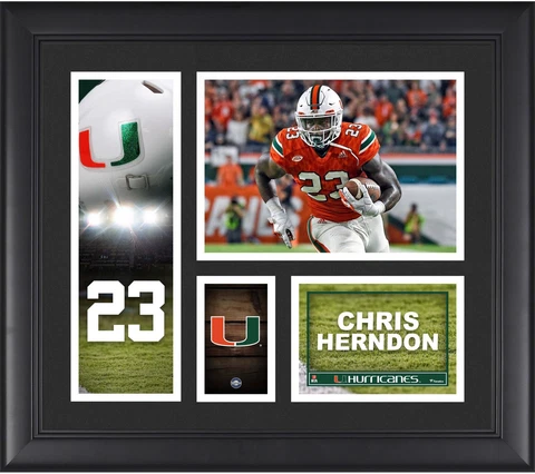 Chris Herndon Miami Hurricanes Framed 15" x 17" Player Collage Cover