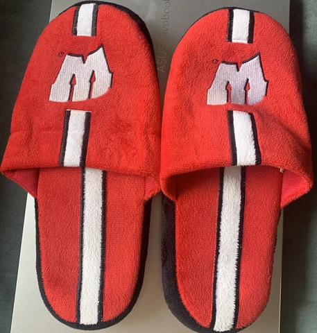 Wisconsin Badgers Mens Slippers  Size L FOREVER COLLECTABLE Officially Licensed Cover