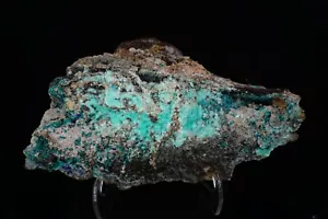 Aurichalkit & Rosasit / Hidden Treasure Mine, Utah / 15,6 cm Mineralienpräparat - Bild 1 von 7