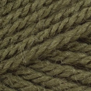 Hilo De Tejer Stylecraft Special DK 100g - 1027 Khaki - Imagen 1 de 1