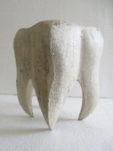 ANTICA VECCHIA ENORME INSEGNA PUBBLICITARIA DENTISTA ESPOSIZIONE CLINICA DENTI DEL GIUDIZIO - Foto 1 di 8