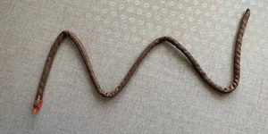 Serpente protettivo rituale esorcismo sciamano mongolo per abbigliamento sciamano - Foto 1 di 4