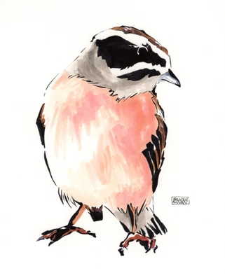 Tinta de arte original Meadow Bunting y marcador copia tamaño A4 único en su clase Foto 1 de 2