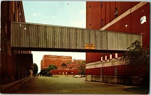 Guardian Förderband und Rohrleitungsbrücken Carnegie Pennsylvania Postkarte - Bild 1 von 2