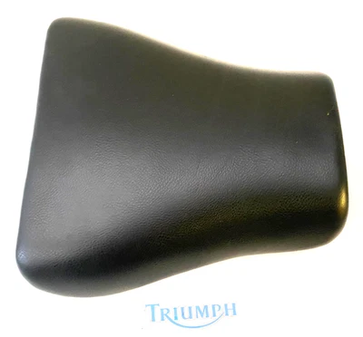Triumph Daytona 955i Ss Pilotos Solo Seat Asiento Delantero Unidad As Se Ve 2001 - Imagen 1 de 4