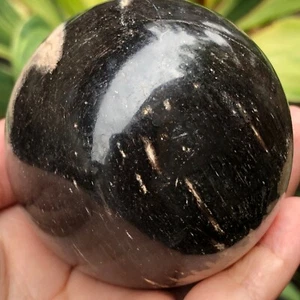 274gr PETRIFIED WOOD Sphere Ball Reiki Healing Energy Decoration - Picture 1 of 6