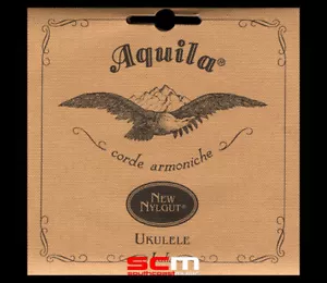 Aquila 24u 6-String Baritone Ukulele String Set Regular Tuning DGgBee 6 Strings - Picture 1 of 1