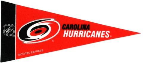 CAROLINA HURRICANES~BRAND NEW NHL HOCKEY TEAM MINI SOUVENIR 9" MINIATURE PENNANT Cover